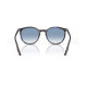 Солнцезащитные очки Ray-Ban RB 2204 14303F