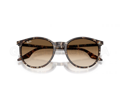 Солнцезащитные очки Ray-Ban RB 2204 143151
