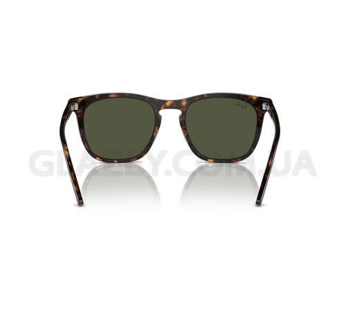 Сонцезахисні окуляри Ray-Ban RB 2210 902/31