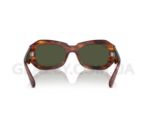 Солнцезащитные очки Ray-Ban RB 2212 954/31