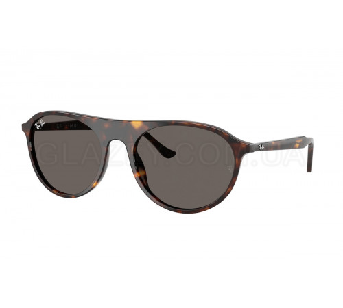 Сонцезахисні окуляри Ray-Ban RB 2215 902/B1