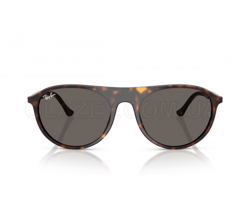 Сонцезахисні окуляри Ray-Ban RB 2215 902/B1