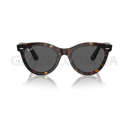 Солнцезащитные очки Ray-Ban RB 2241 902/B1