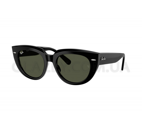 Солнцезащитные очки Ray-Ban RB 2286 901/31