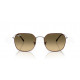 Солнцезащитные очки Ray-Ban RB 3694 92700A