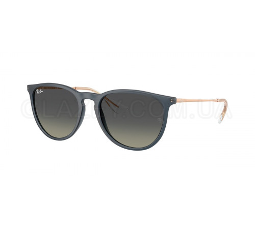 Солнцезащитные очки Ray-Ban RB 4171 681311
