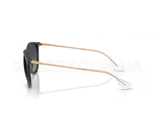 Солнцезащитные очки Ray-Ban RB 4171 681311