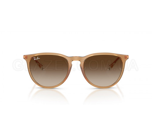 Солнцезащитные очки Ray-Ban RB 4171 681413