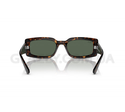 Солнцезащитные очки Ray-Ban RB 4395 135971