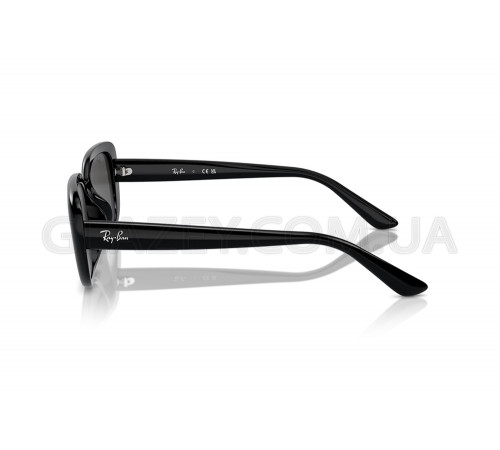 Солнцезащитные очки Ray-Ban RB 4421D 667787