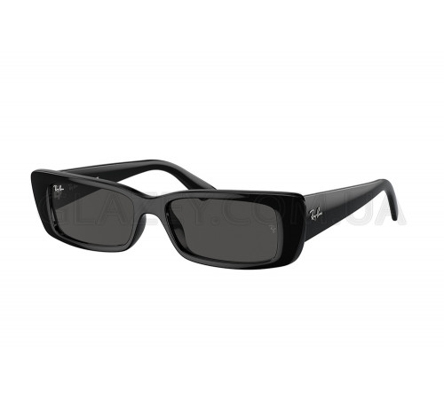 Солнцезащитные очки Ray-Ban RB 4425 667787