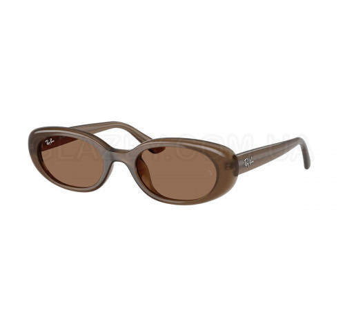 Солнцезащитные очки Ray-Ban RB 4441D 677973