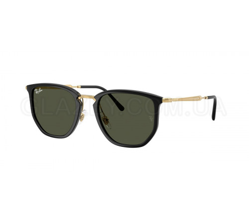 Солнцезащитные очки Ray-Ban RB 4451 630631
