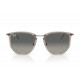 Солнцезащитные очки Ray-Ban RB 4451 680271