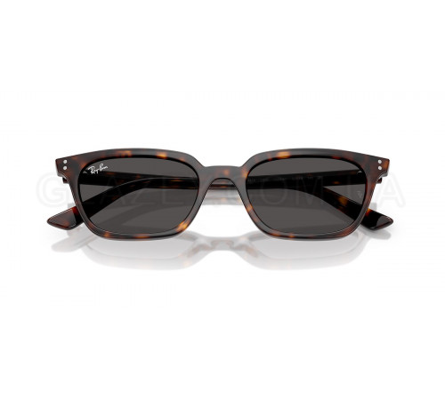 Сонцезахисні окуляри Ray-Ban RB 4456 135987