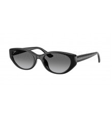 Солнцезащитные очки Ray-Ban RB 4457D 667711