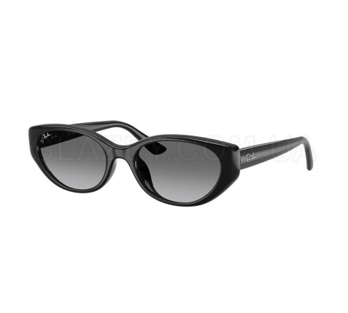Солнцезащитные очки Ray-Ban RB 4457D 667711