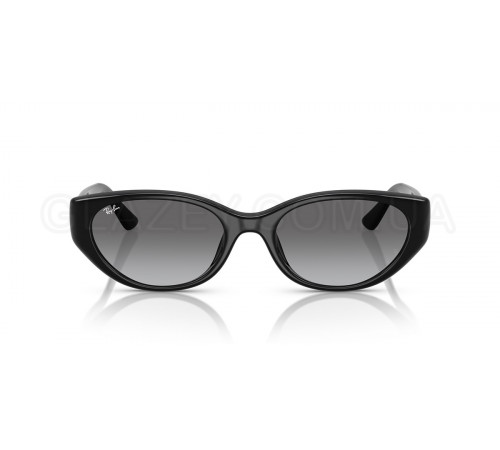 Солнцезащитные очки Ray-Ban RB 4457D 667711