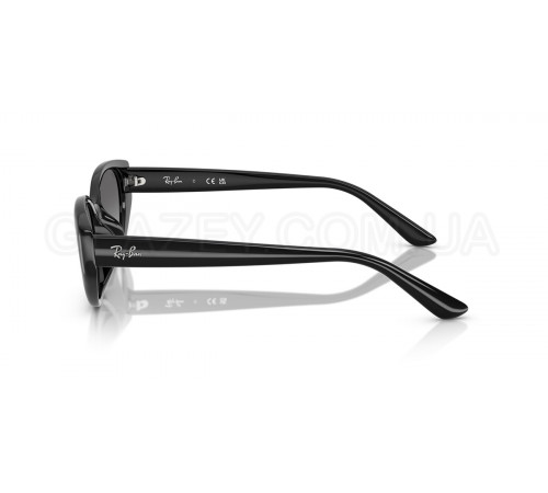 Солнцезащитные очки Ray-Ban RB 4457D 667711