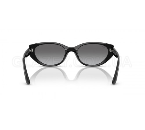 Солнцезащитные очки Ray-Ban RB 4457D 667711