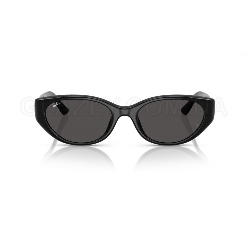 Солнцезащитные очки Ray-Ban RB 4457D 667787