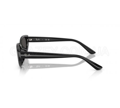 Солнцезащитные очки Ray-Ban RB 4457D 667787