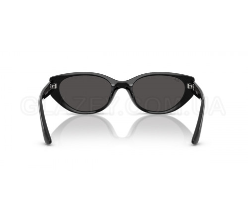 Солнцезащитные очки Ray-Ban RB 4457D 667787