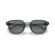 Солнцезащитные очки Ray-Ban RB 4458D 645087