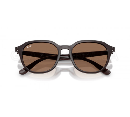 Солнцезащитные очки Ray-Ban RB 4459D 623173