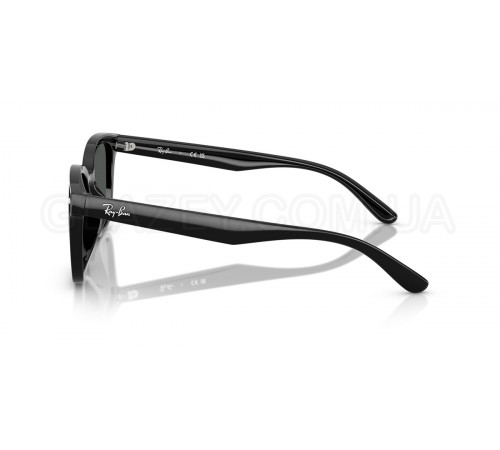 Солнцезащитные очки Ray-Ban RB 4461D 601/87