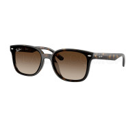 Солнцезащитные очки Ray-Ban RB 4461D 710/13
