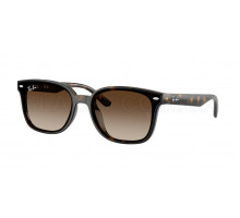 Сонцезахисні окуляри Ray-Ban RB 4461D 710/13