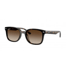 Солнцезащитные очки Ray-Ban RB 4461D 710/13