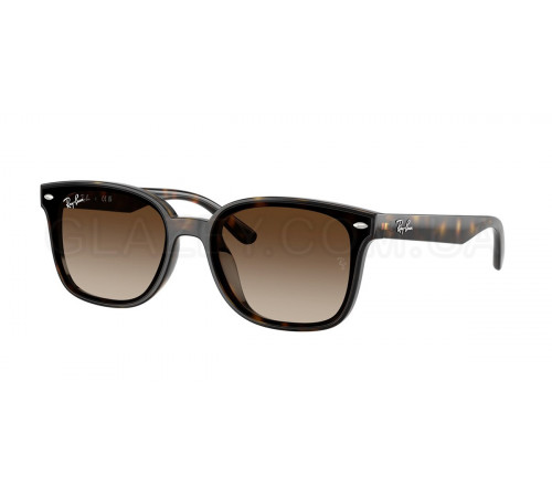 Солнцезащитные очки Ray-Ban RB 4461D 710/13
