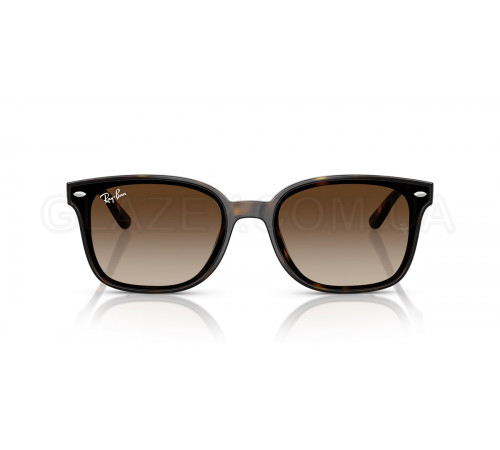 Солнцезащитные очки Ray-Ban RB 4461D 710/13