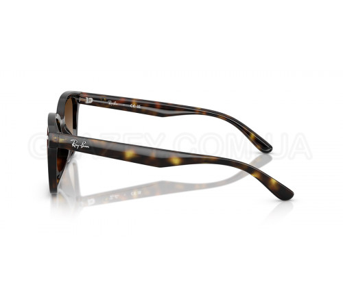 Солнцезащитные очки Ray-Ban RB 4461D 710/13
