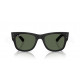 Солнцезащитные очки Ray-Ban RB 4840S 601S71
