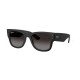 Сонцезахисні окуляри Ray-Ban RB 4840S 601ST3