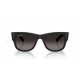 Солнцезащитные очки Ray-Ban RB 4840S 601ST3