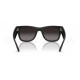 Солнцезащитные очки Ray-Ban RB 4840S 601ST3