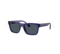 Солнцезащитные очки Ray-Ban RJ 9196S 719187 4-7 лет
