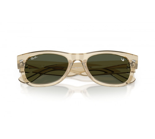 Сонцезахисні окуляри Ray-Ban RB 0832S 146031