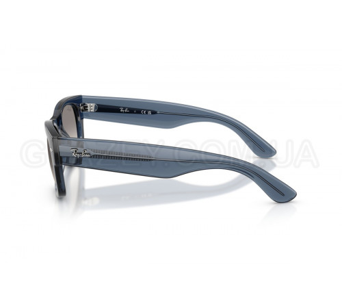 Сонцезахисні окуляри Ray-Ban RB 0832S 684532