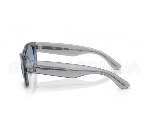 Сонцезахисні окуляри Ray-Ban RB 0832S 68463F