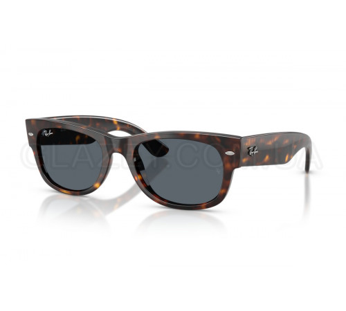 Сонцезахисні окуляри Ray-Ban RB 0832S 902/R5