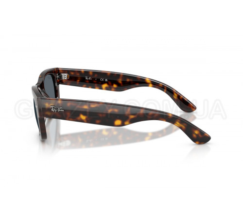 Сонцезахисні окуляри Ray-Ban RB 0832S 902/R5