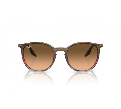Сонцезахисні окуляри Ray-Ban RB 2204 13953B