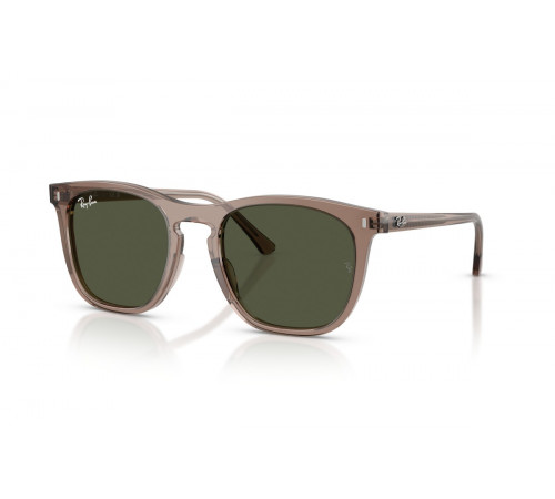 Солнцезащитные очки Ray-Ban RB 2210 845731