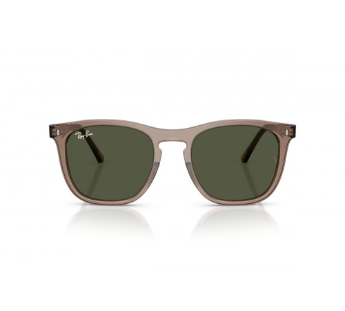 Солнцезащитные очки Ray-Ban RB 2210 845731