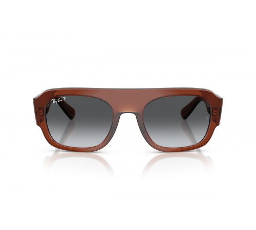 Сонцезахисні окуляри Ray-Ban RB 2218 6678T3